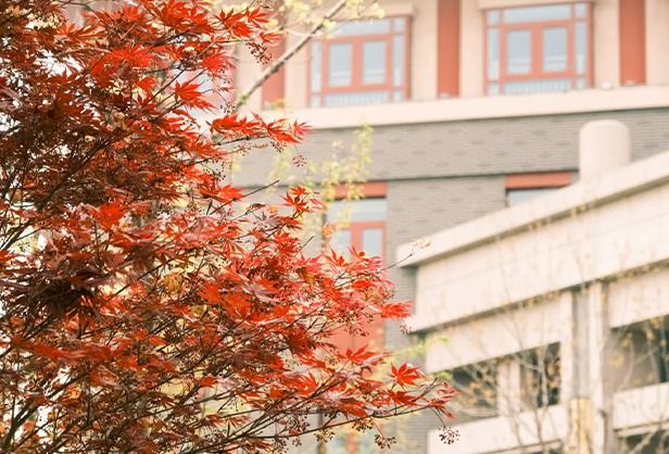 william威廉中文官网