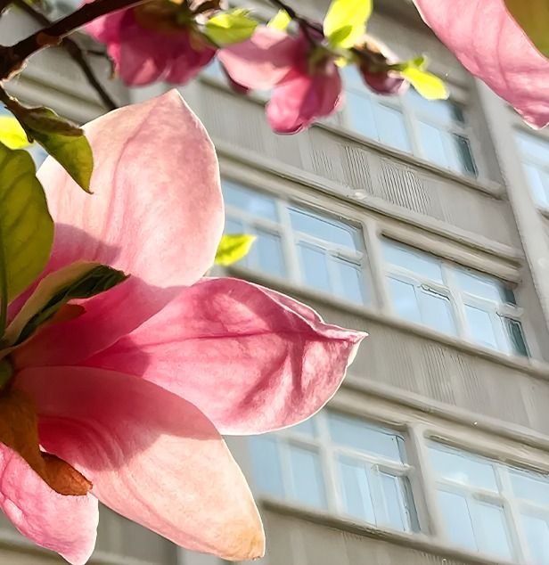 william威廉中文官网