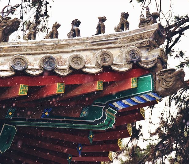 william威廉中文官网