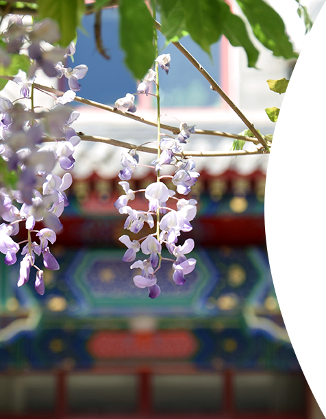 william威廉中文官网